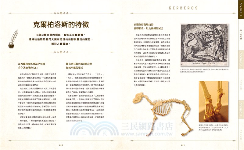 美麗的幻獸生態骨骼圖鑑