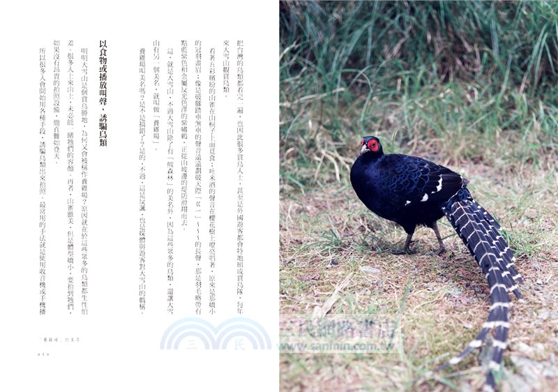 浪漫巡山員：從海拔0到3000公尺，熱血堅毅的台灣山林守護者