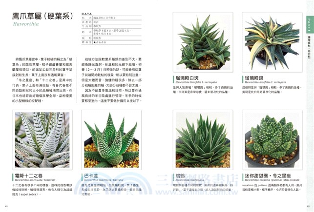 多肉植物 仙人掌圖鑑800 三民網路書店