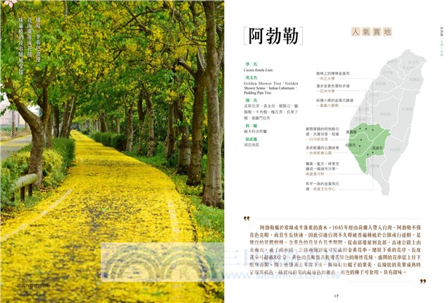 跟著花去旅行！全台賞花路線GUIDE 夏→初冬