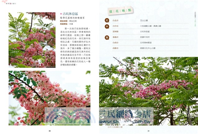 跟著花去旅行！全台賞花路線GUIDE 夏→初冬