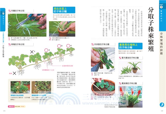 超圖解！園藝新手栽培大全