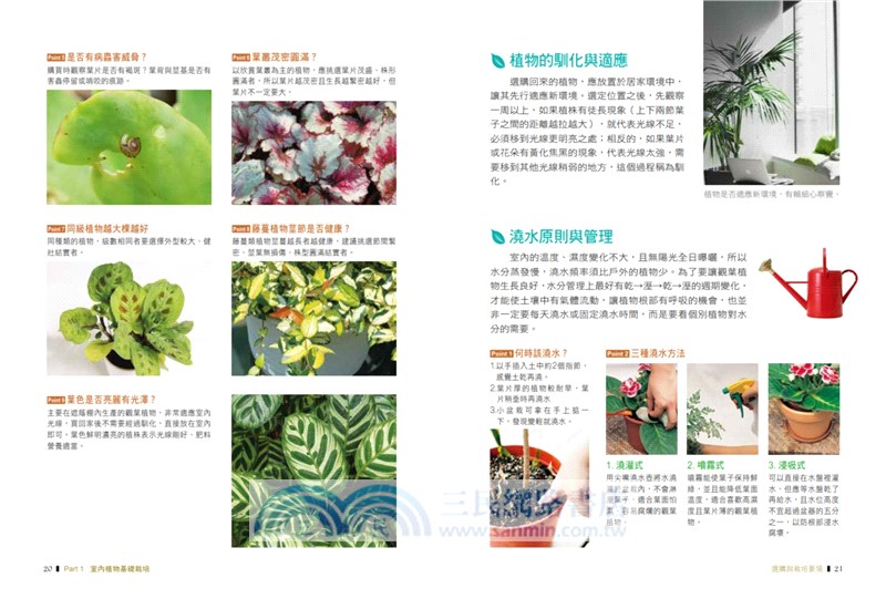 綠色家屋：120種室內觀花、觀葉植物栽培與空間綠美化
