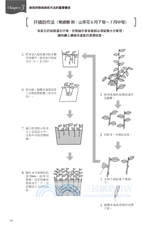 花木修剪の趣味科學 掌握讓人和樹能愉快共生的修剪訣竅 三民網路書店