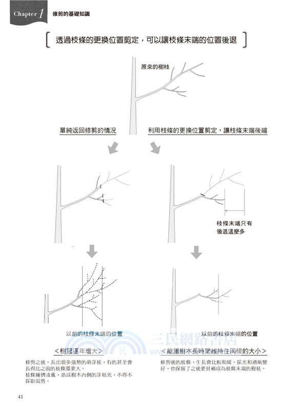 花木修剪の趣味科學 掌握讓人和樹能愉快共生的修剪訣竅 三民網路書店