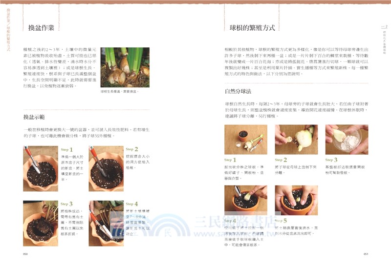 球根花卉超好種：園藝世家四代栽培密技大公開，50種球根花卉四季管理‧Q&A種花問答