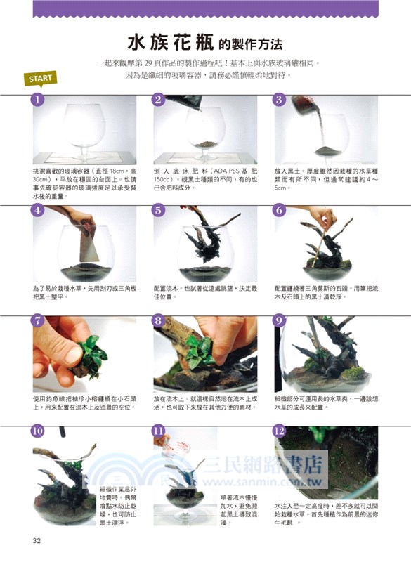 水草缸造景設計：7天打造療癒水森林