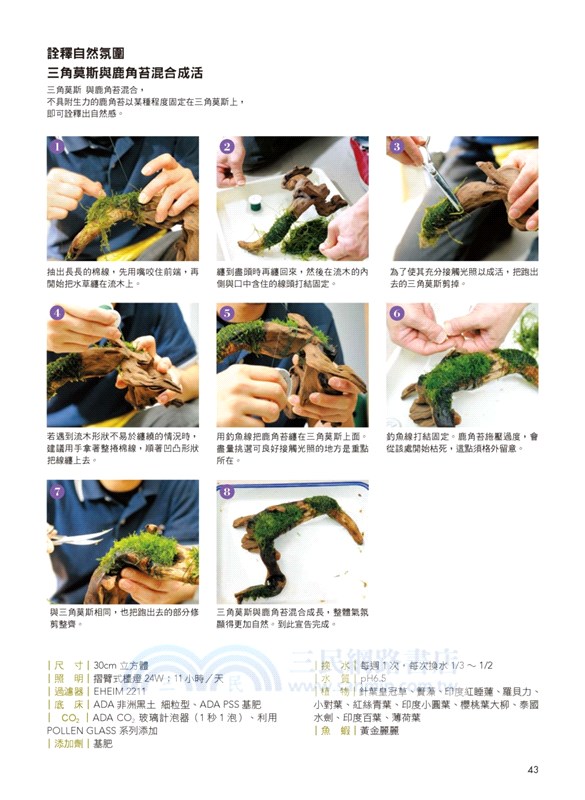 水草缸造景設計 7天打造療癒水森林 三民網路書店