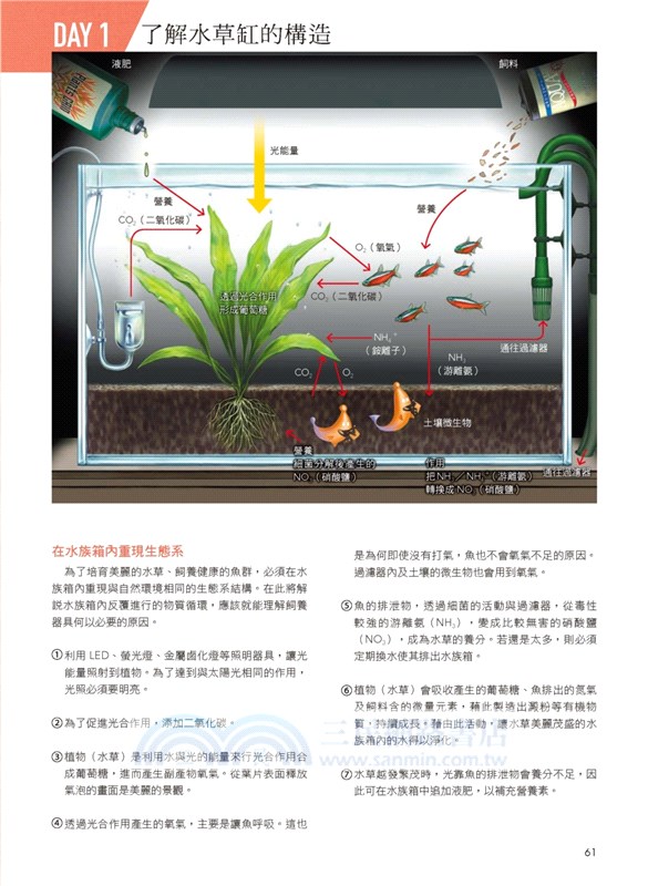 水草缸造景設計 7天打造療癒水森林 三民網路書店