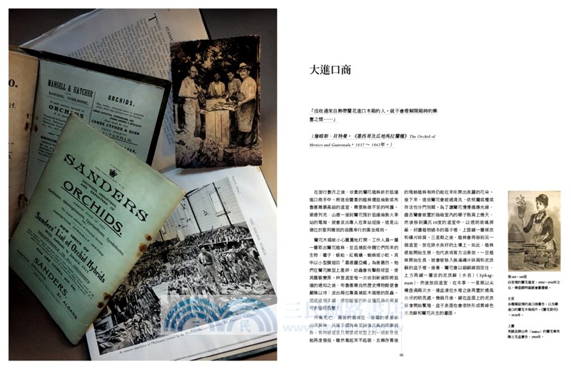 世紀蘭花獵奇