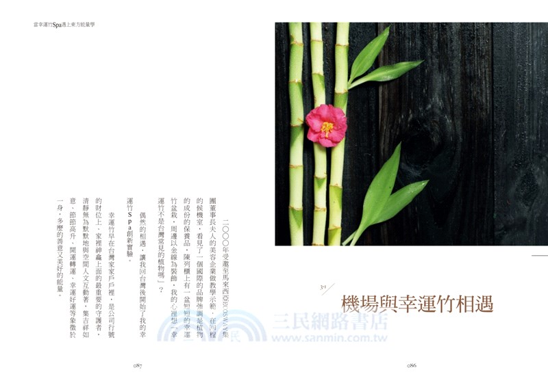 當幸運竹Spa遇上東方能量學：有根的台灣心芳療美學