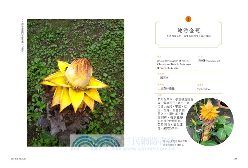 悉達多的花園 佛系熱帶植物誌 日常中的佛教典故 植物園與花草眾相 三民網路書店