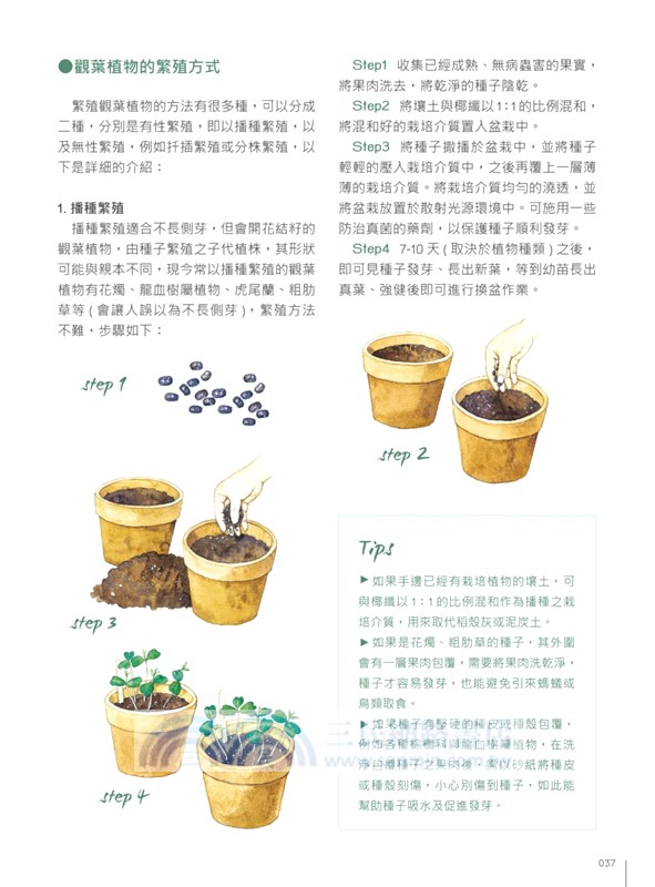 觀葉植物圖鑑：500種風格綠植栽培指南