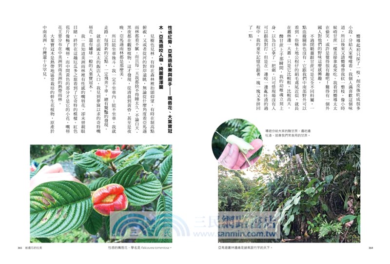 被遺忘的拉美福爾摩沙懷舊植物誌：農村、童玩、青草巷，我從亞馬遜森林回來，追憶台灣鄉土植物的時光