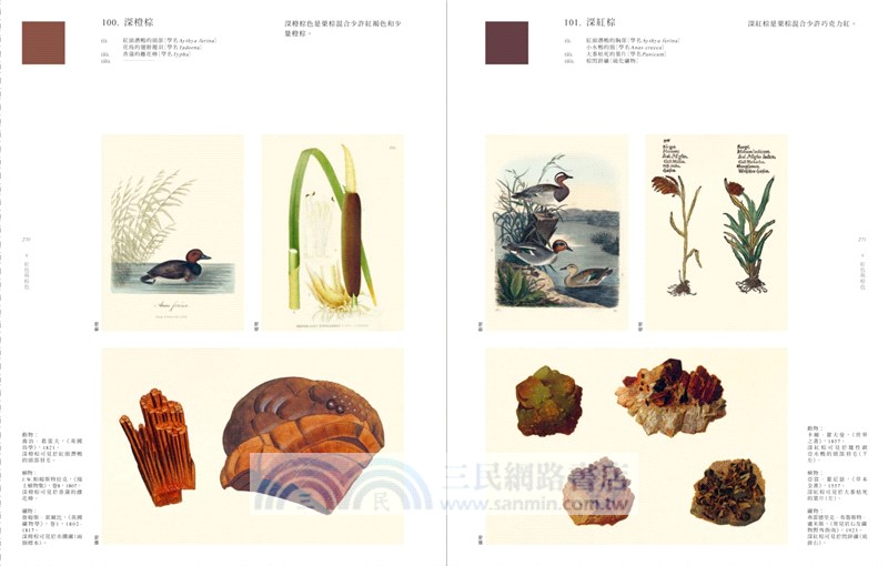 自然色彩圖鑑：源於自然的經典色彩系統