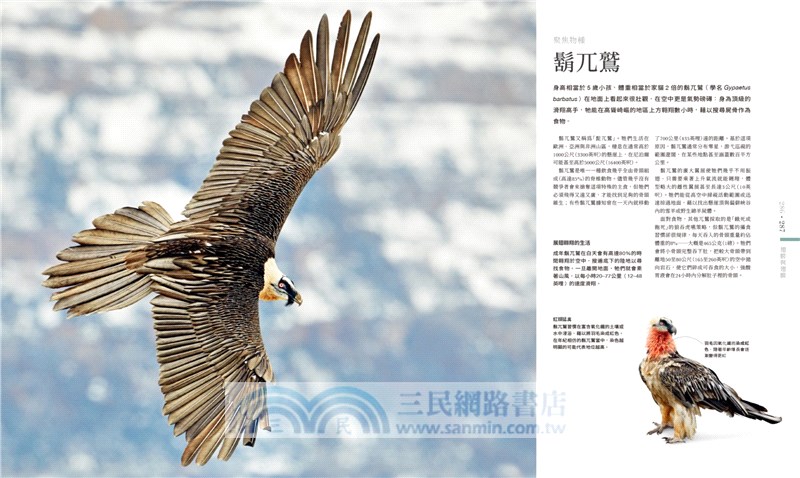 世界最美的動物圖鑑：微距×動態×深海攝影，用科學觀察360+動物的特徵及演化過程