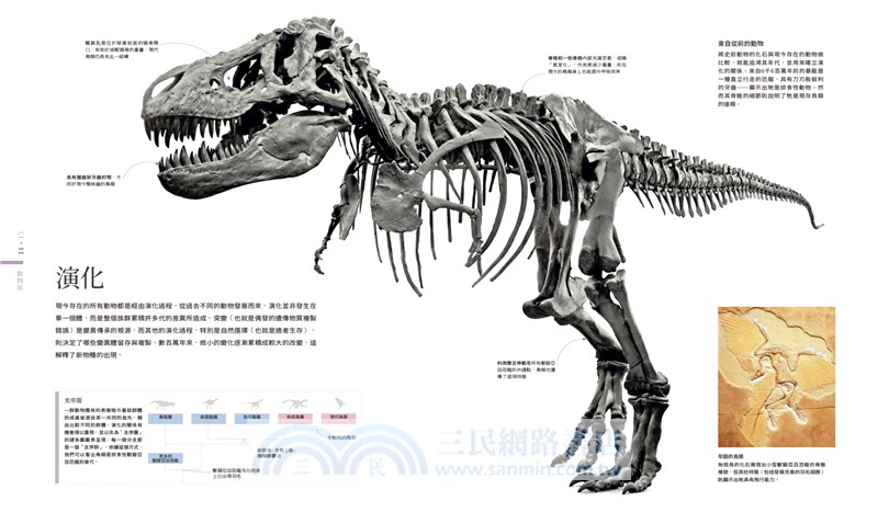 世界最美的動物圖鑑：微距×動態×深海攝影，用科學觀察360+動物的特徵及演化過程