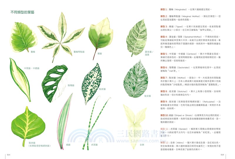 斑葉植物圖鑑：600種葉色斑斕、外型奇特的綠植栽培指南