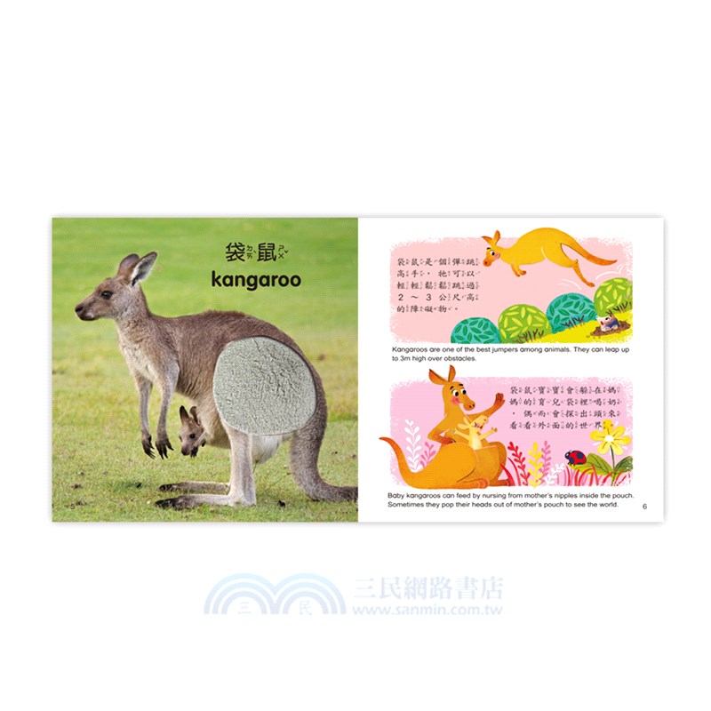 觸摸認知小百科01：野生動物篇