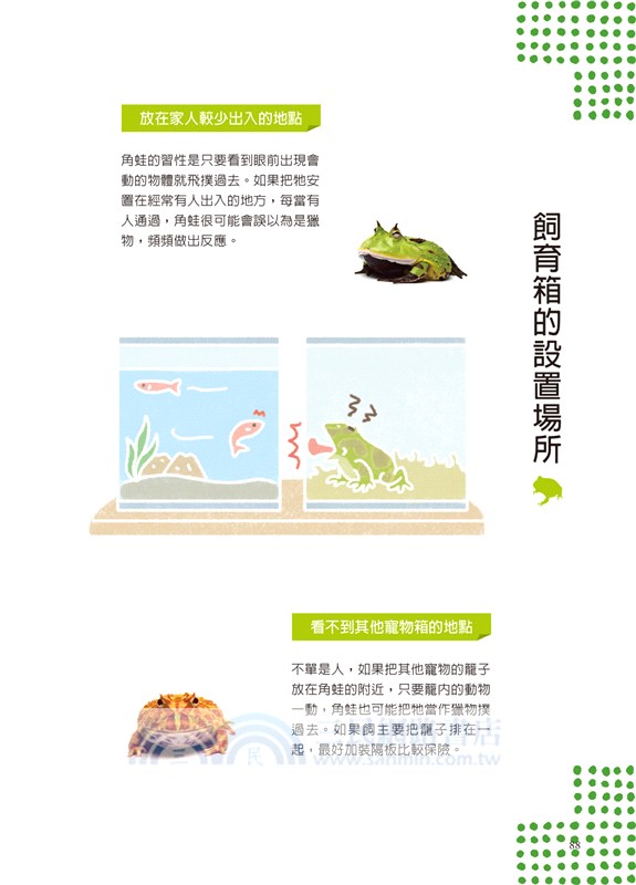 開始養角蛙就上手 從飲食 飼養道具到疾病照顧的養蛙指南 三民網路書店