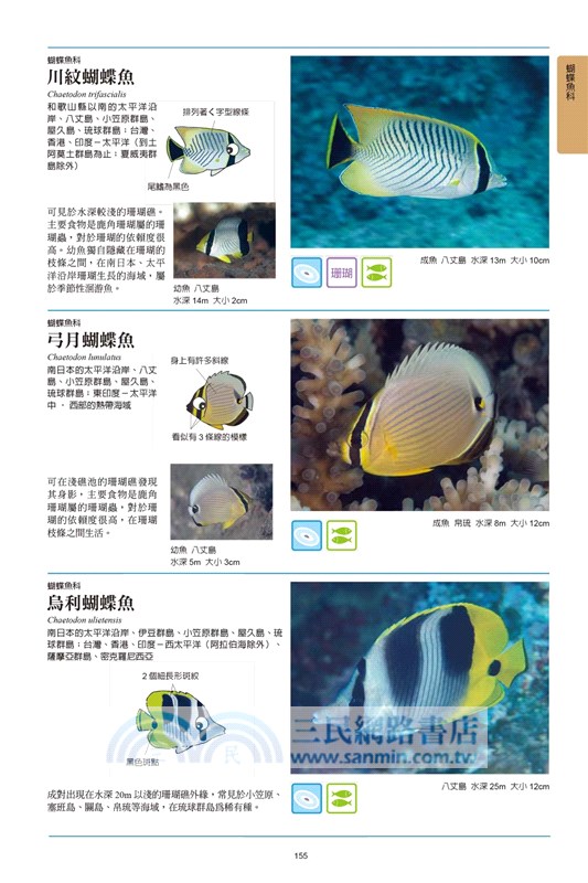 海水魚圖鑑