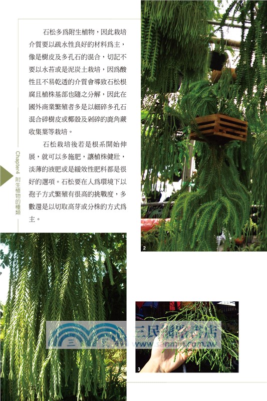 附生植物觀賞圖鑑