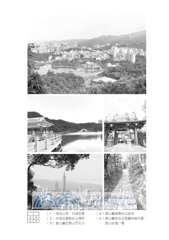 台灣阿嬤好生活：碧山巖下樂齡誌