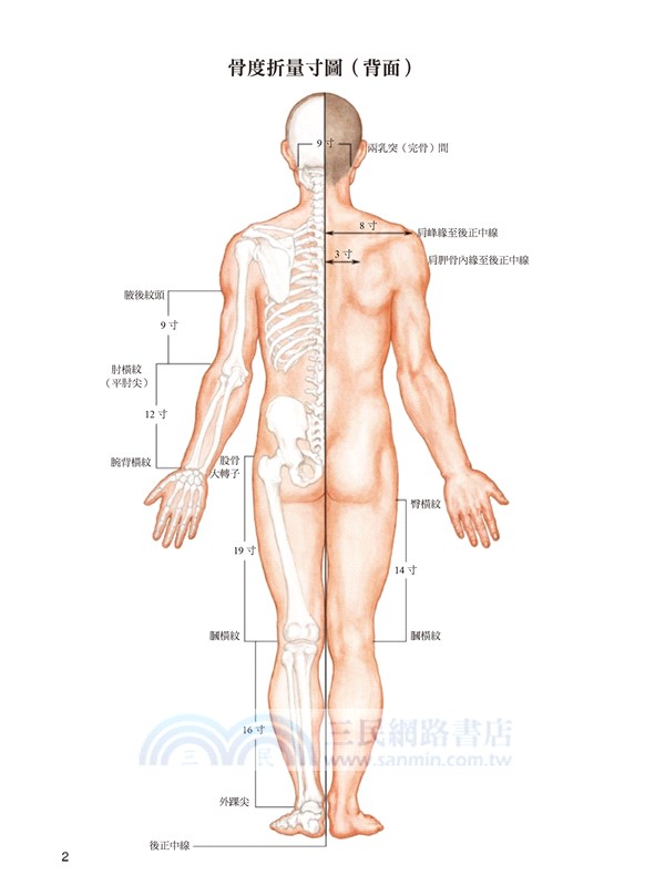 簡明人體經絡與常用穴位圖冊
