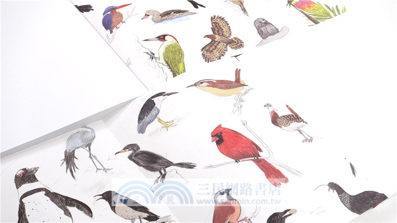 鳥事一堆！超崩潰鳥類觀察筆記：來自全世界，集結海陸空，六種體型、七大劣根性，一笑解千愁的紓壓手繪賞鳥指南