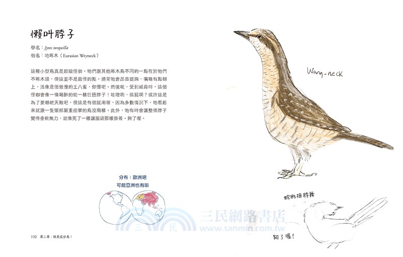 鳥事一堆！超崩潰鳥類觀察筆記：來自全世界，集結海陸空，六種體型、七大劣根性，一笑解千愁的紓壓手繪賞鳥指南