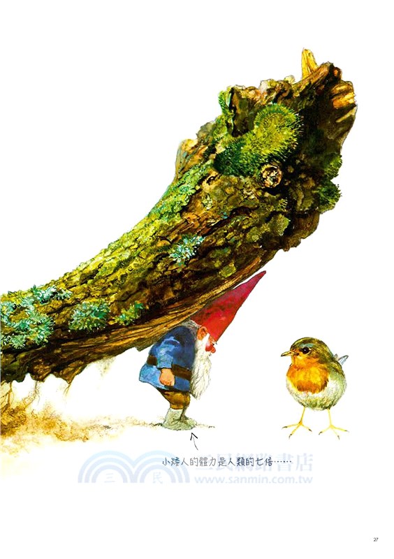 小矮人全書Gnomes（特價收藏版）