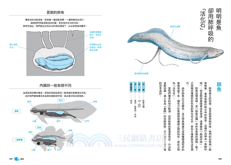 生命無奇不有！海、河、湖的怪奇生物圖鑑