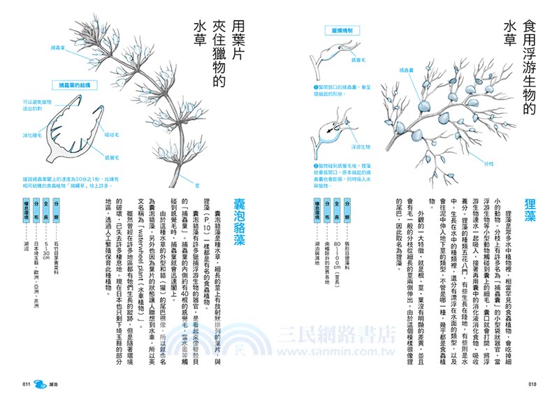 生命無奇不有！海、河、湖的怪奇生物圖鑑