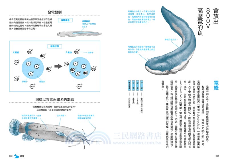 生命無奇不有！海、河、湖的怪奇生物圖鑑