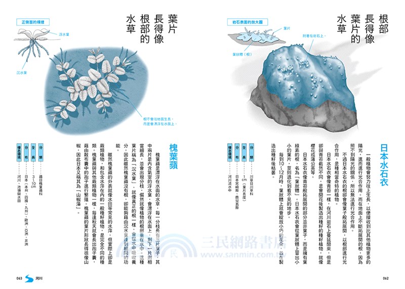 生命無奇不有！海、河、湖的怪奇生物圖鑑