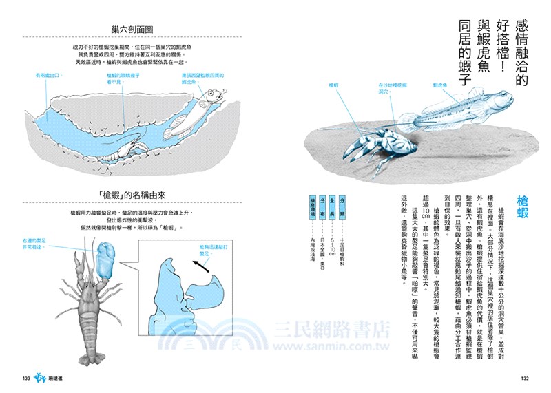生命無奇不有！海、河、湖的怪奇生物圖鑑