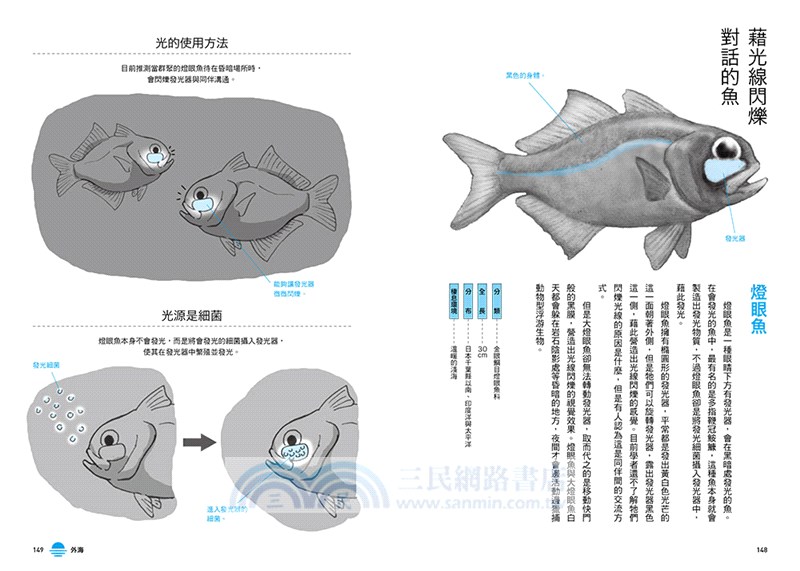 生命無奇不有！海、河、湖的怪奇生物圖鑑