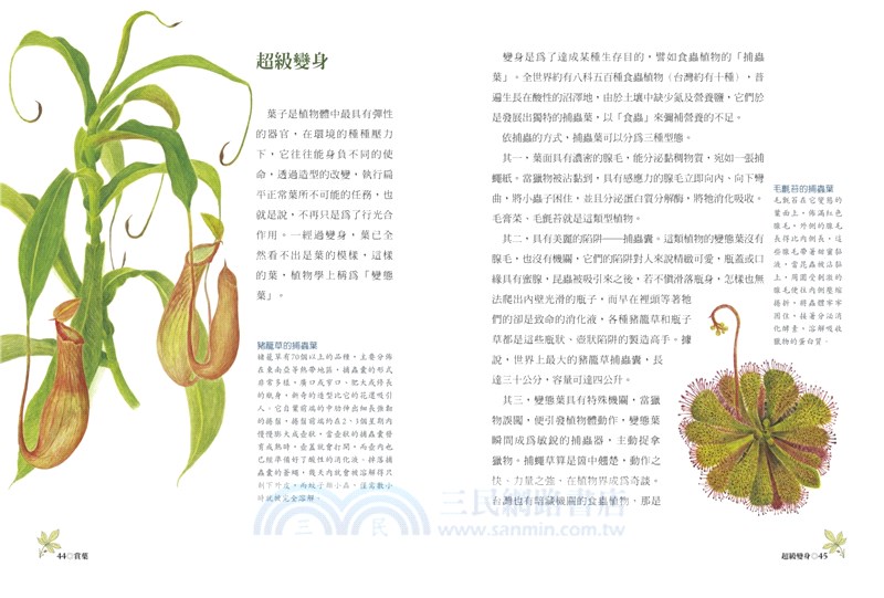 賞葉：葉知識百科＆葉形圖鑑