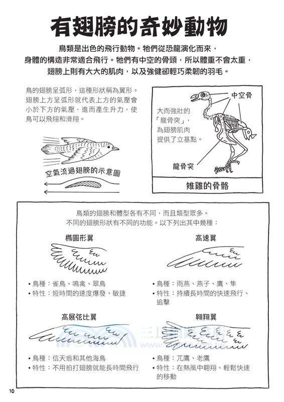 飛行學校：從紙飛機、飛魚到太空梭，20組紙模型帶你體驗飛行的樂趣與奧妙