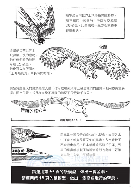 飛行學校：從紙飛機、飛魚到太空梭，20組紙模型帶你體驗飛行的樂趣與奧妙