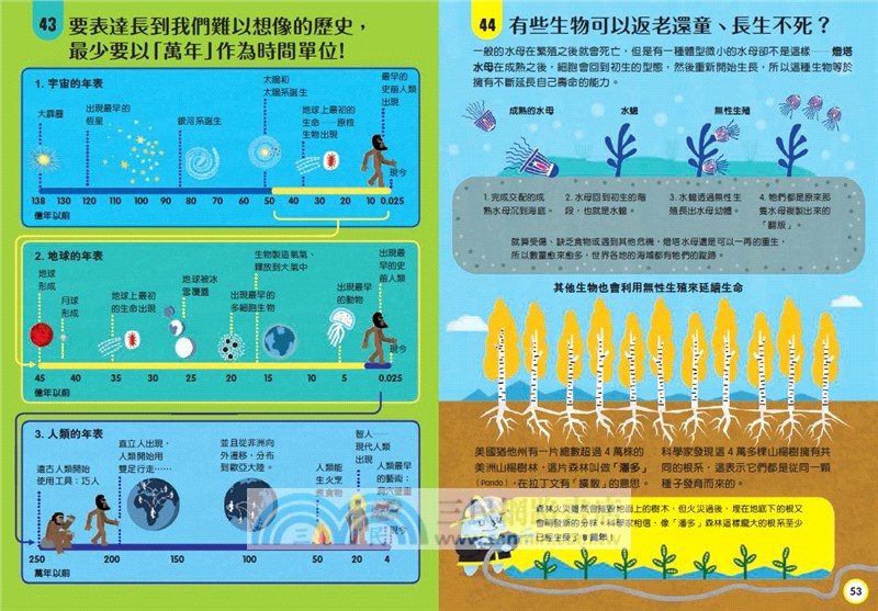 小小科學人：100科學大發現
