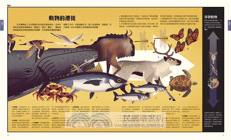 自然大視界：不可思議的生態奧祕圖鑑