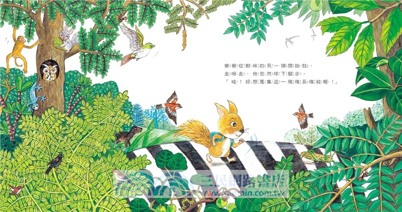 長的圓的，一起來蒐集！