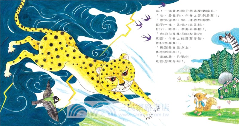 長的圓的，一起來蒐集！