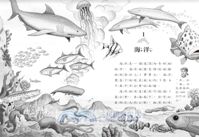神奇樹屋小百科08：海豚與鯊魚
