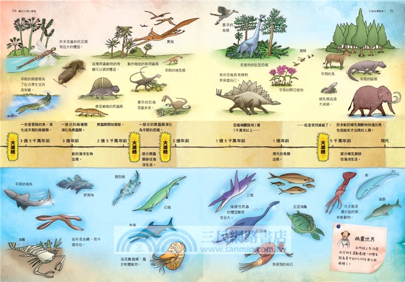 觀念生物小學堂