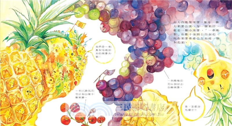 食物大發現：鳳梨從哪裡來？