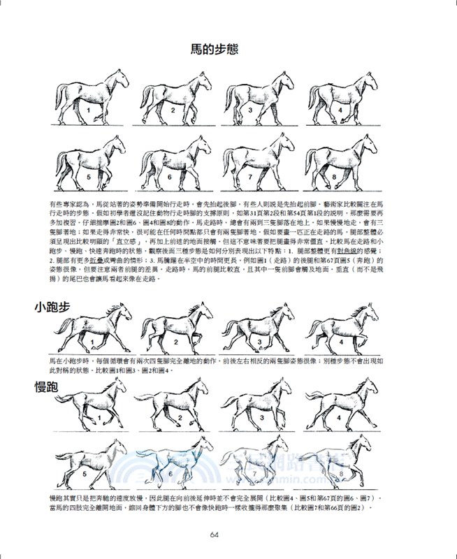 動物素描：享譽半世紀，暢銷全球的經典教程，從觀察、操作、訣竅，到風格應用的完備技法