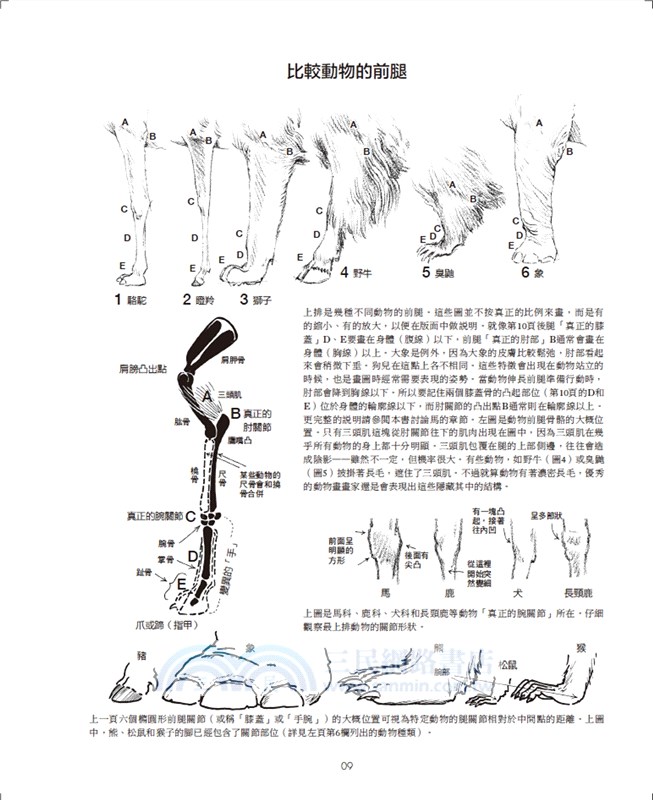 動物素描：享譽半世紀，暢銷全球的經典教程，從觀察、操作、訣竅，到風格應用的完備技法