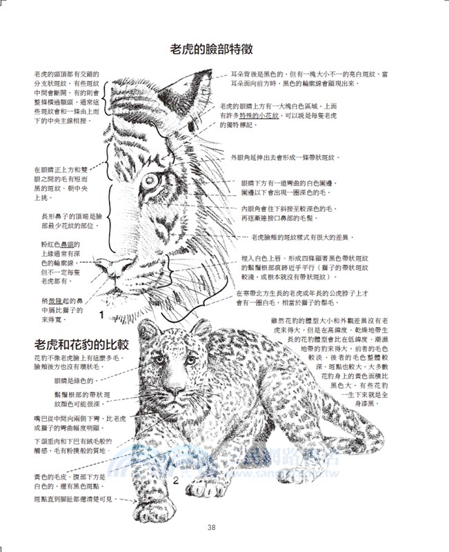 動物素描：享譽半世紀，暢銷全球的經典教程，從觀察、操作、訣竅，到風格應用的完備技法